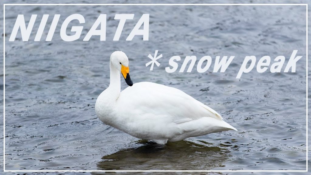 【WINTER TRAVEL VLOG3】走行距離1500km! 新潟→草津 【WINTER TRAVEL VLOG3】走行距離1500km! 新潟→草津