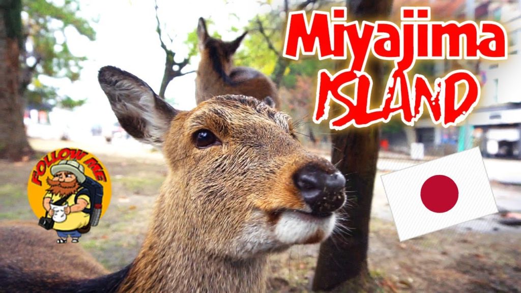MIYAJIMA ISLAND tour BY FERRY (From Hiroshima)