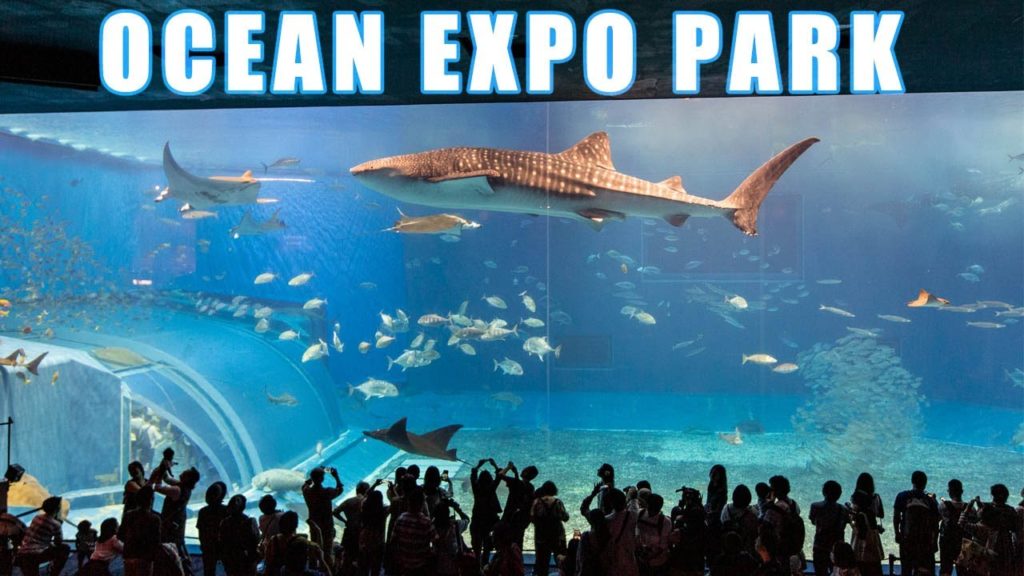 ACUARIO CHURAUMI Y OCEAN EXPO PARK (OKINAWA)