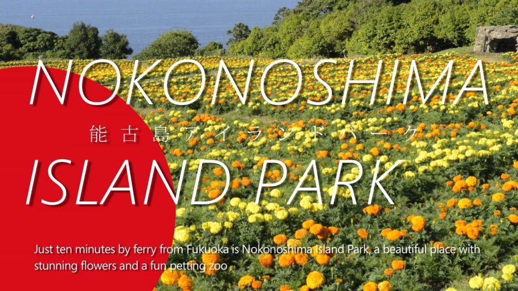 Nokonoshima Island Park (能古の島アイランドパーク) Nokonoshima Island Park (能古の島アイランドパーク)