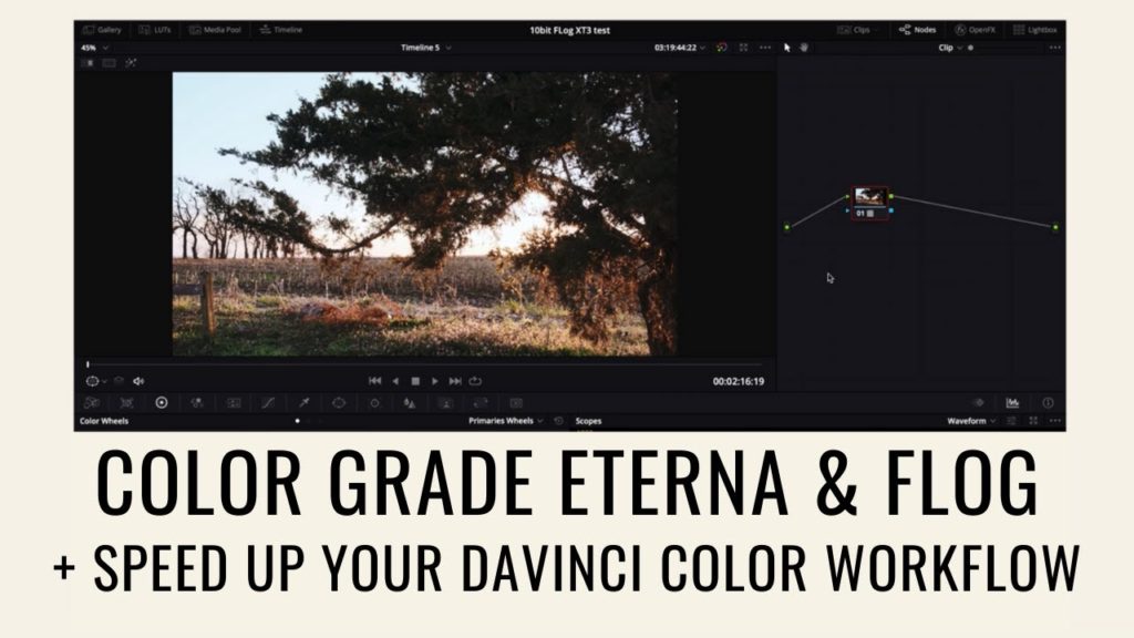 how to color grade Fuji Eterna (& F-Log) + 3 Tips to Copy & Paste color nodes in Davinci Resolve