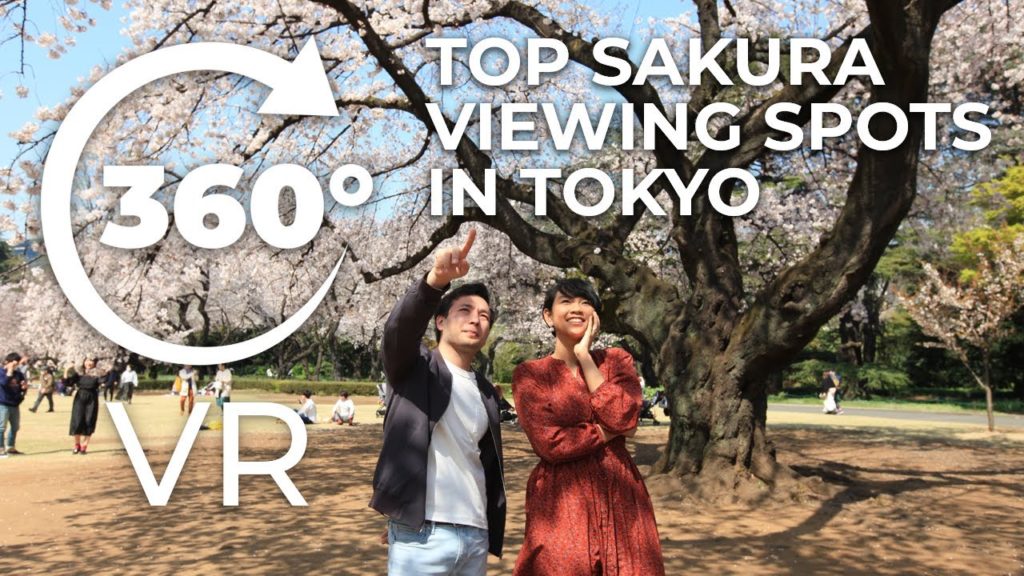 Top Sakura Viewing Spots in Tokyo (360° VR)