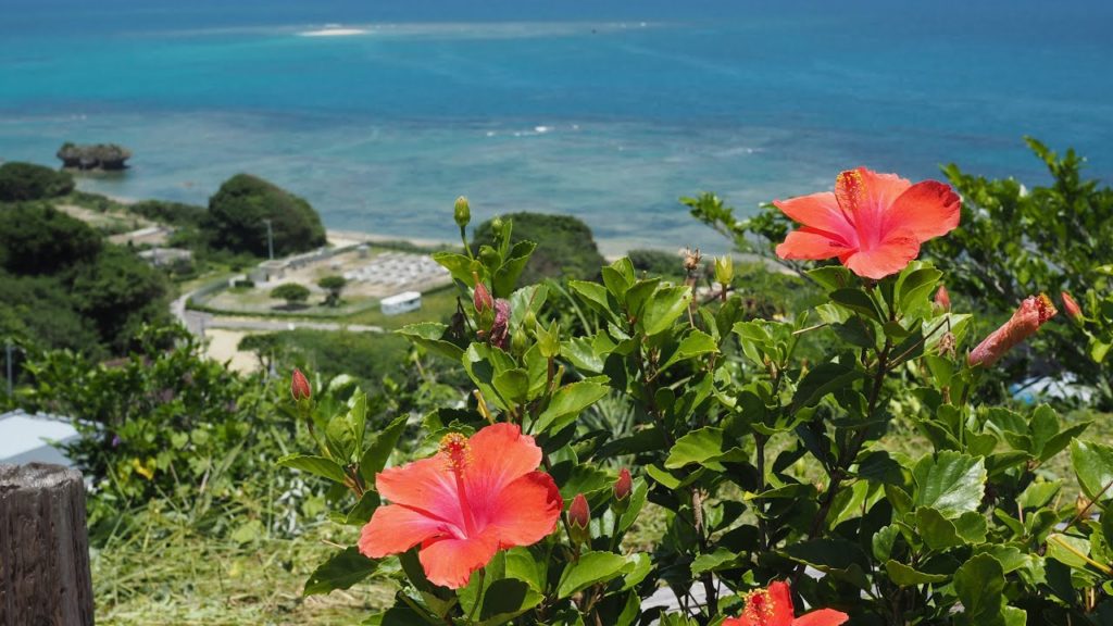 Okinawa, Japan | Travel Video | Action Camera Okinawa, Japan | Travel Video | Action Camera