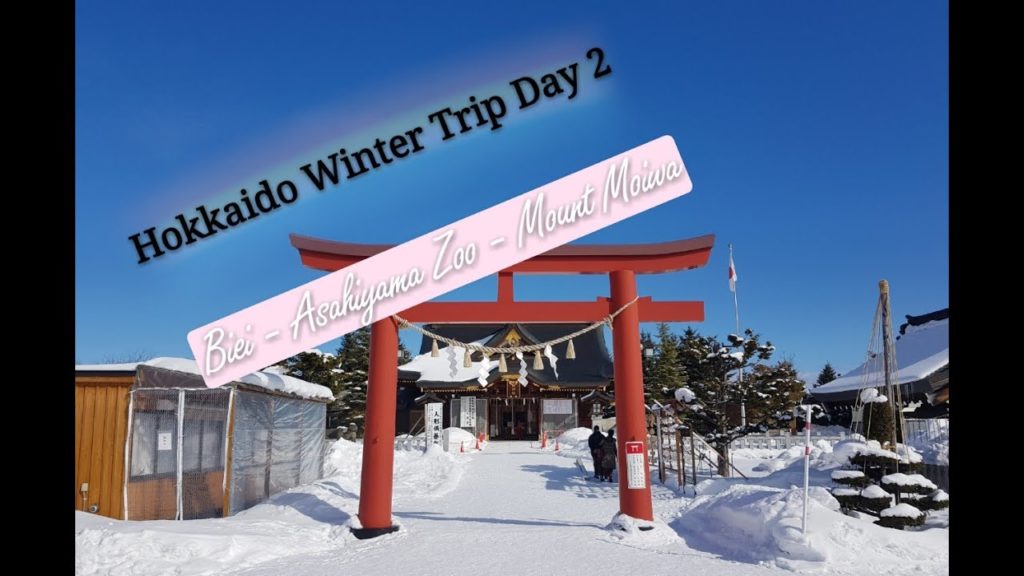 北海道冬季之旅 - 第二天 - 美瑛，旭川，札幌（Hokkaido Winter Trip - Day 2 - Biei, Asahiyama Zoo, Mount Moiwa Sapporo）