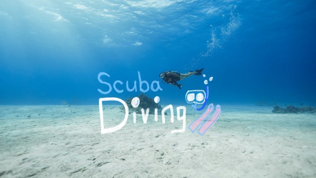 [전율의하루] 사이판 스쿠버다이빙 1편. 고요하고 신비로운 바다 속 세상 물 만나 행복한 다린이!