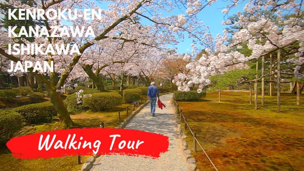 Japan Walking Tours | Kenrokuen in Kanazawa | Cherry blossom (Sakura) season