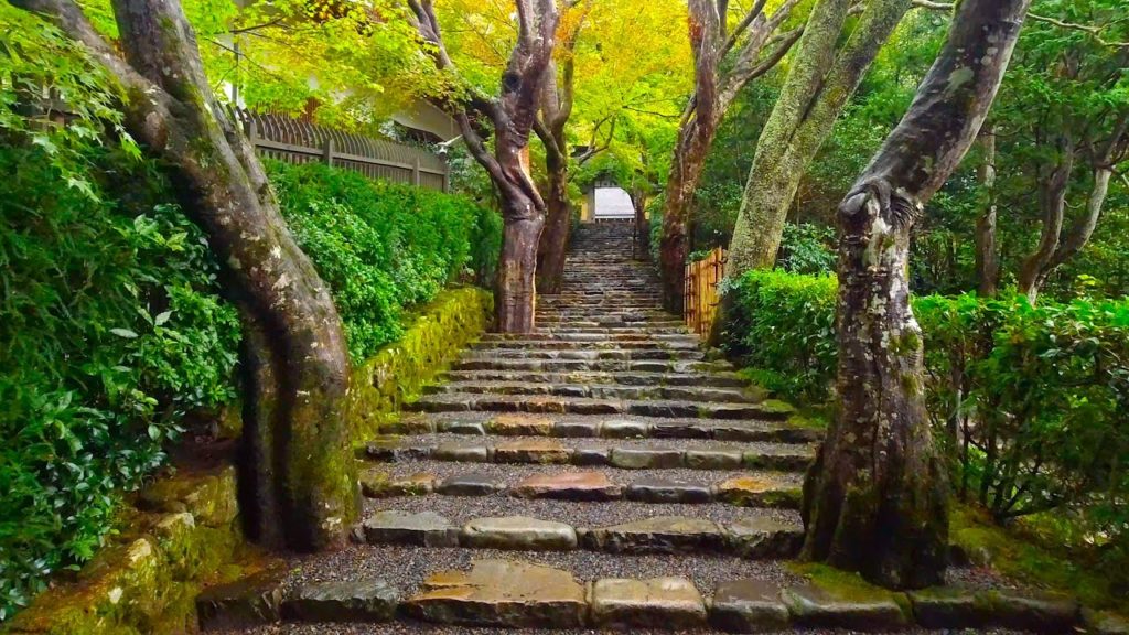 Kyoto walk - Jakko-in Temple (寂光院) - 4K