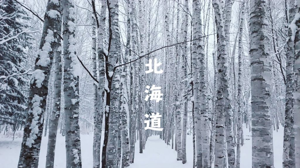 [혼자 떠난 홋카이도 여행 with LG V40 ThinQ] 삿포로에서 노보리베츠를 찍고 하코다테 까지!!