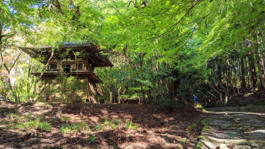 Japan Tour Adventure in Nara