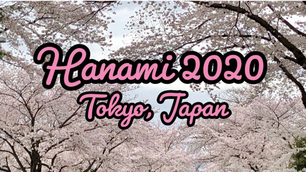 TOKYO SAKURA CHERRY BLOSSOMS 2020 // Yokota Air Base Hanami TOKYO SAKURA CHERRY BLOSSOMS 2020 // Yokota Air Base Hanami