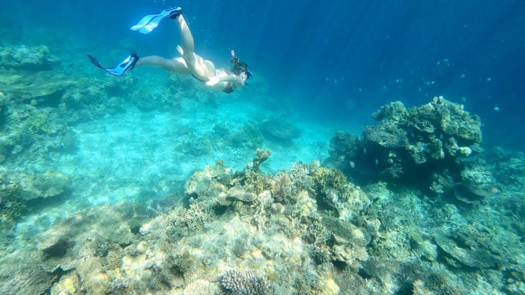 Philippines Travel Video 2020