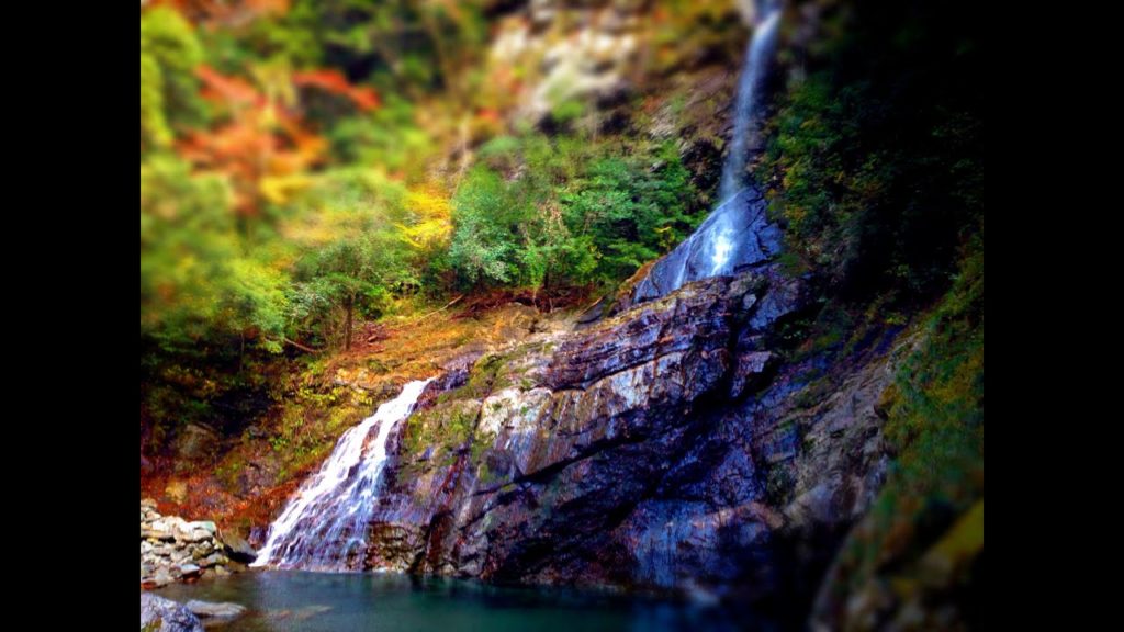 Beautiful Japan - 安居渓谷 Yasui valley, Kochi, Japan 飛龍の滝