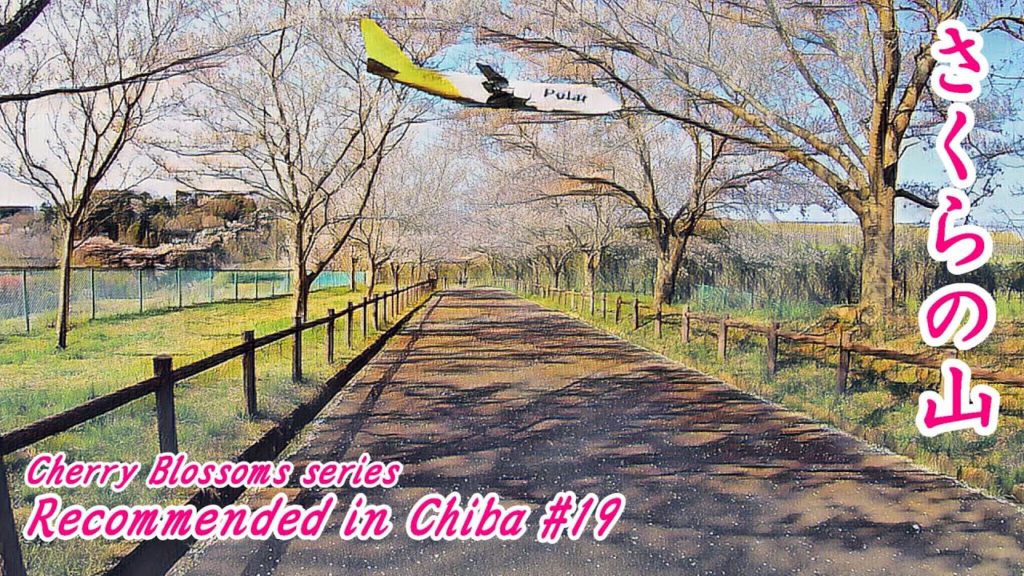 成田空港すぐにある桜の名所はコロナの影響で…~NEAR NARITA AIRPORT AS CHERRY BLOSSOM SPOT~【Chiba Japan Tour 】【千葉の魅力を発見】 成田空港すぐにある桜の名所はコロナの影響で…~NEAR NARITA AIRPORT AS CHERRY BLOSSOM SPOT~【Chiba Japan Tour 】【千葉の魅力を発見】