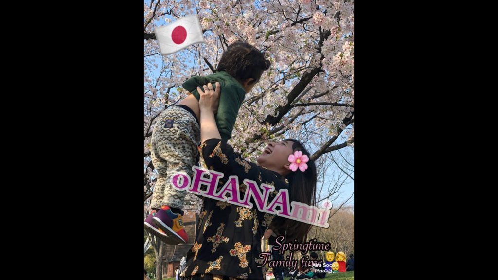 Famous CHERRY BLOSSOMS viewing spot in Aichi,Japan|NAGOYA CASTLE MEIJO NATURE'S PARK|OHANAmi/SAKURA