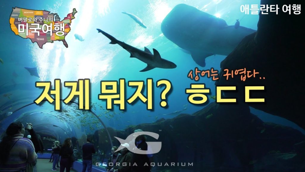 애틀란타 | 세계 최대규모! 꼭 봐야하는 조지아 아쿠아리움!