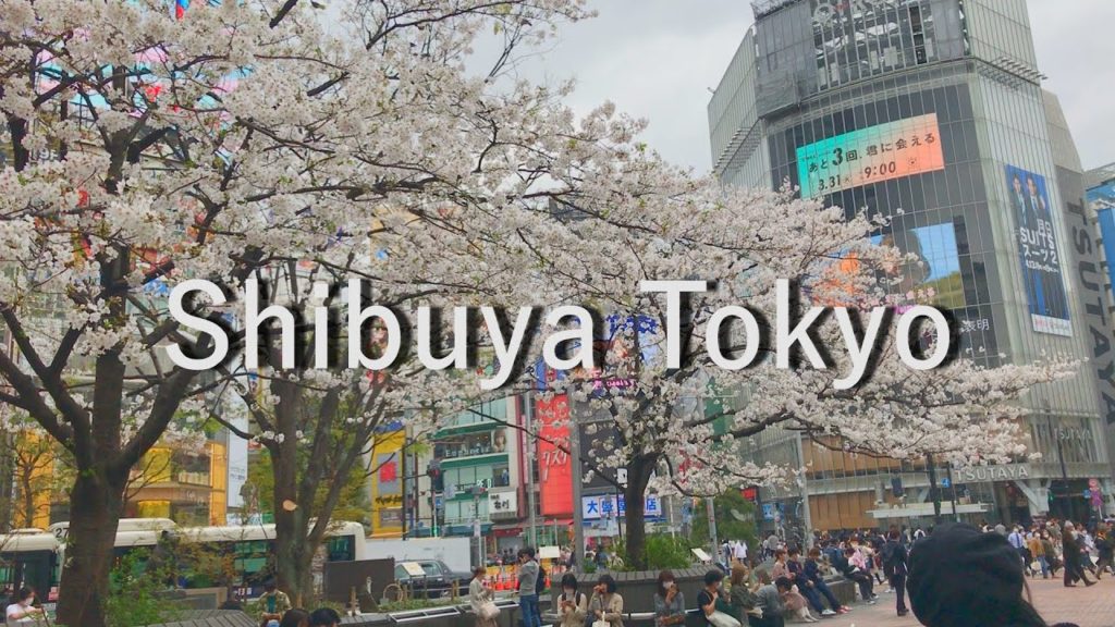 Stroll around Tokyo Shibuya