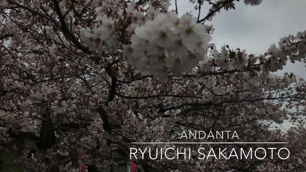 2020桜と坂本龍一音楽