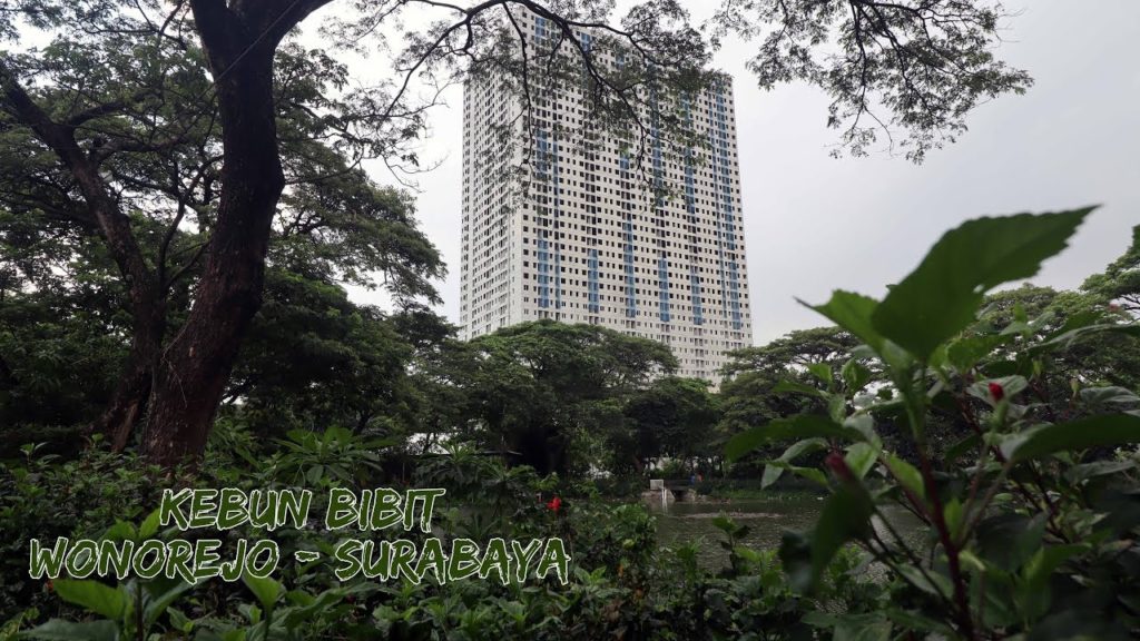 Kebun Bibit Wonorejo Surabaya 2020 - Serasa Ada di Pegunungan Sejuk & Hijau  ~ Walking Tour