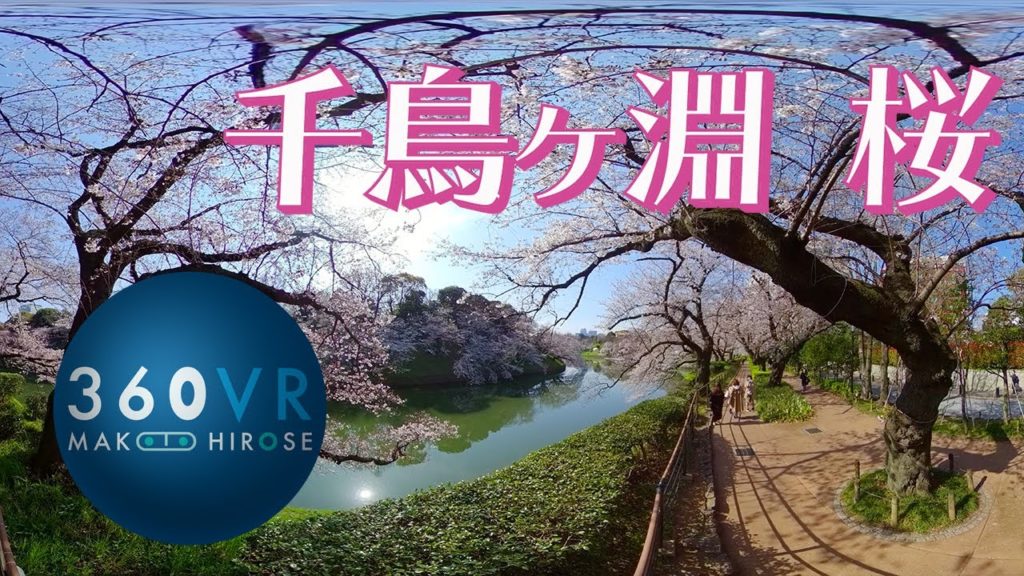 8K 360VR : 千鳥ヶ淵の桜 2020 お花見VR –Cherry Blossoms–【QooCam 8K】 8K 360VR : 千鳥ヶ淵の桜 2020 お花見VR --Cherry Blossoms--【QooCam 8K】