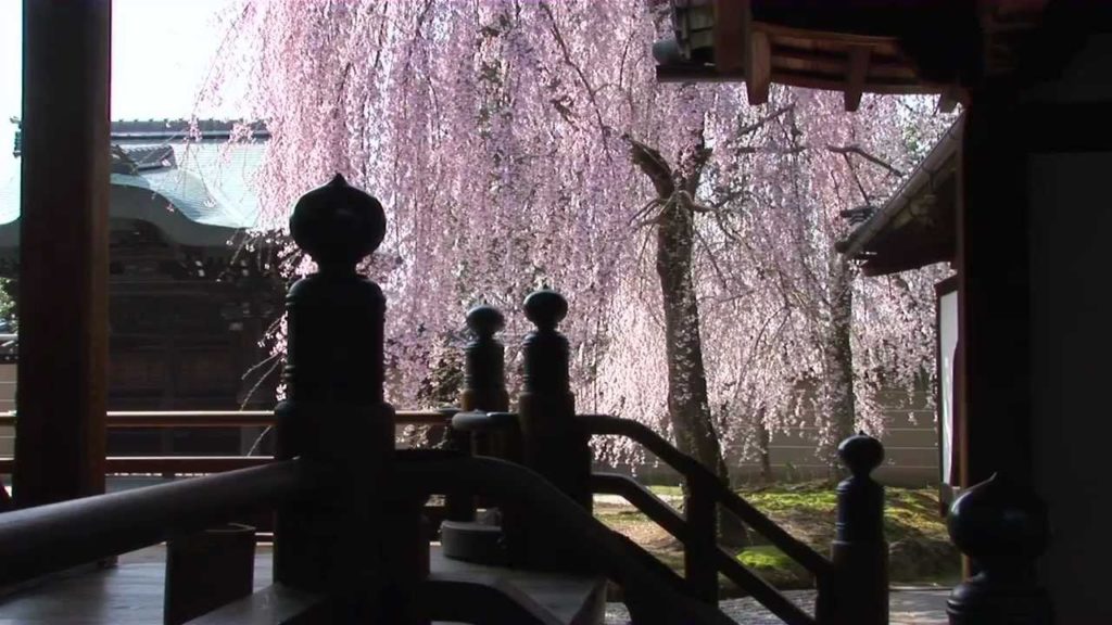 Kodaiji Zen Temple, Kyoto (Official Movie) Kodaiji Zen Temple, Kyoto (Official Movie)