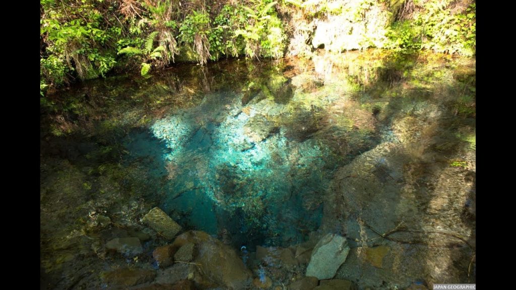 JG 4K HDR 大分 男池湧水の冬と春(名水百選) Oita Oike Springs(Water 100)