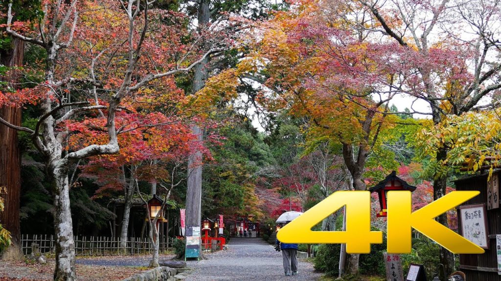 Oharano Shrine – Kyoto – 大原野神社 – 4K Ultra HD Oharano Shrine - Kyoto - 大原野神社 - 4K Ultra HD