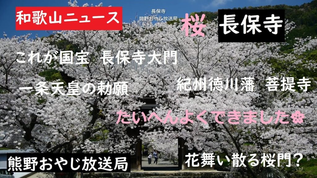 和歌山ニュース 「桜 長保寺 005」2020年4月4日 熊野おやじ放送局 和歌山かってにPR もう近畿のおまけなんて言わせない 世界中の旅人が認めた訪れるべき価値のある第1位 大上敬史 和歌山ニュース 「桜 長保寺 005」2020年4月4日 熊野おやじ放送局 和歌山かってにPR もう近畿のおまけなんて言わせない 世界中の旅人が認めた訪れるべき価値のある第1位 大上敬史