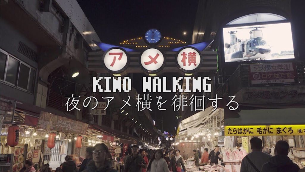 Walking around Ameyoko 4K Japan travel Vlog夜のアメ横を徘徊する