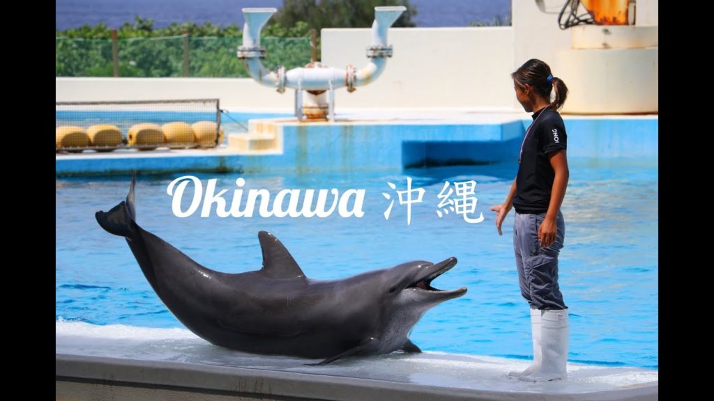 Okinawa, Japan (沖縄 - 日本) | Summer Trip