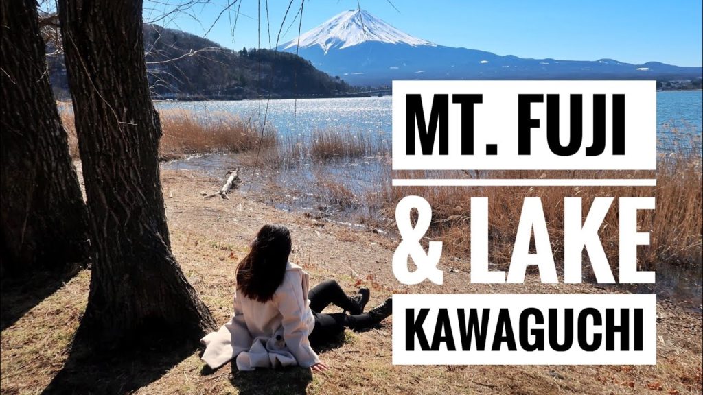 MT. FUJI and LAKE KAWAGUCHI SCENIC SPOTS DAY TOUR FROM TOKYO
