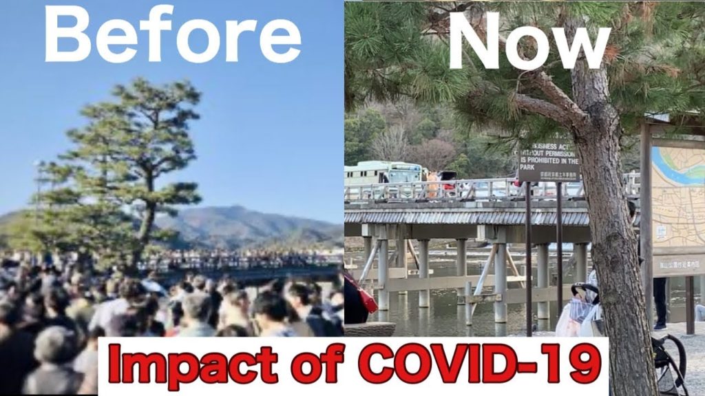 Arashiyama tourists drop sharply with COVID-19