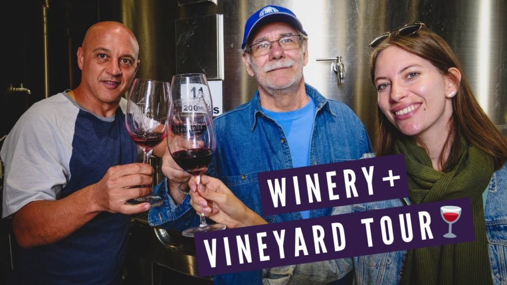 Mendoza WINERY + VINEYARD Tour π | Visiting BODEGAS LUMINIS in Maipu, Argentina π· Mendoza WINERY + VINEYARD Tour π | Visiting BODEGAS LUMINIS in Maipu, Argentina π·