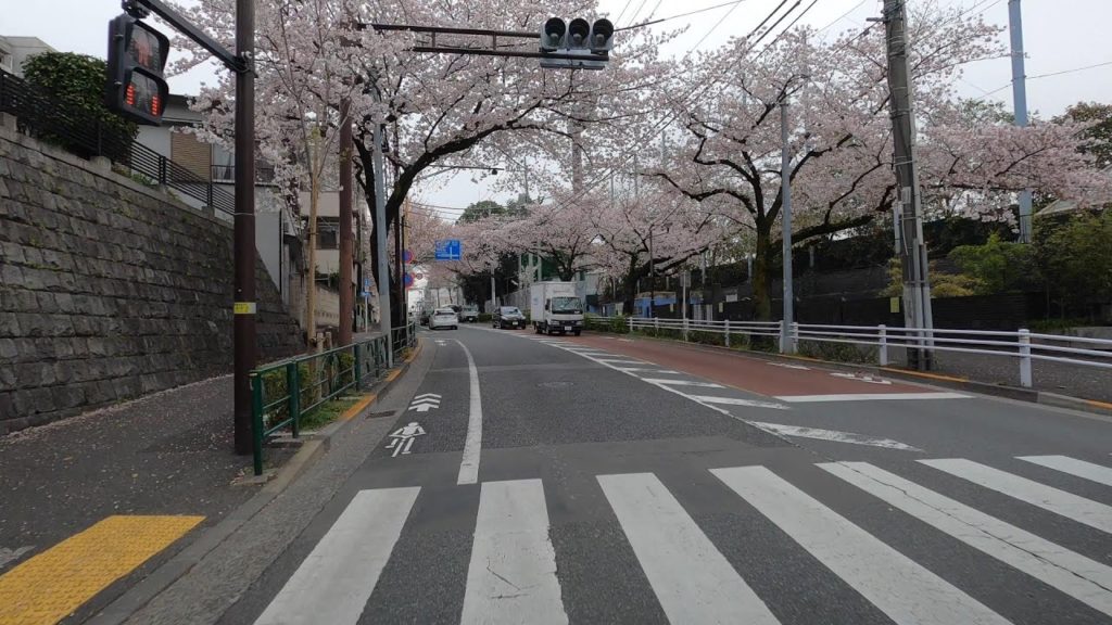 Driving from Tokyo Suburbs to Central Tokyo - 4K w/ Cherry Blossoms