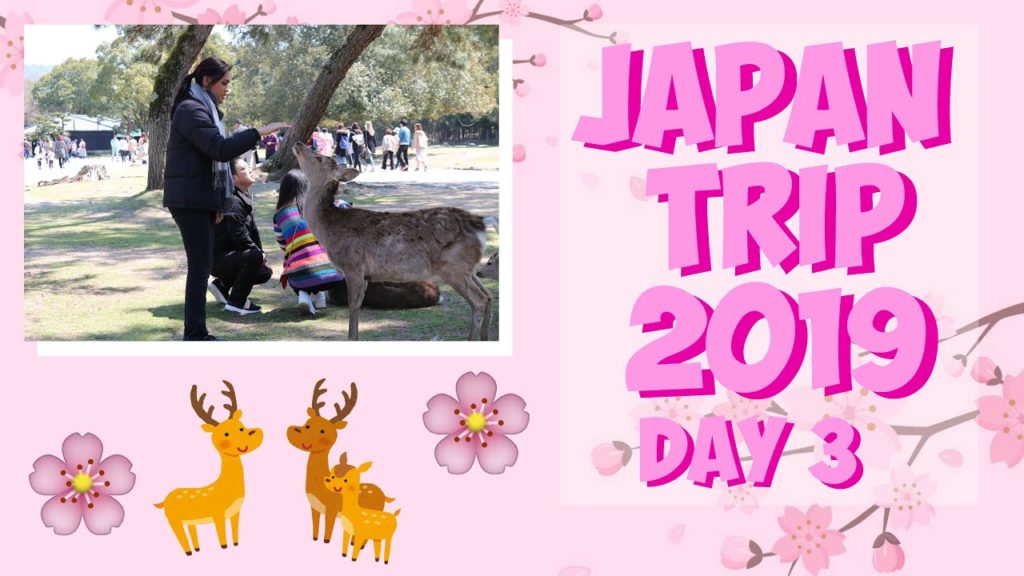 PARK FULL OF DEERS?! | JAPAN TRAVEL VLOG 2019 🇯🇵 | OSAKA | Day 3 | GeekyFoxyGurl