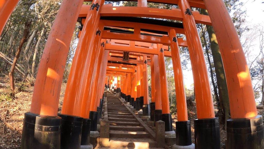 Walking in Fushimi Inari Taisha in Kyoto, Japan.　京都の伏見稲荷大社を散歩