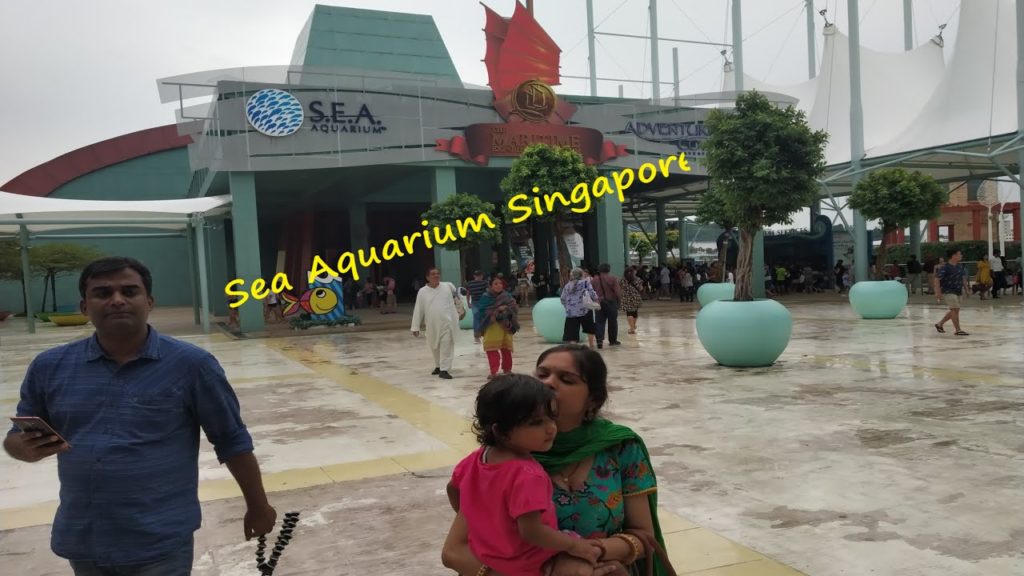 Sea Aquarium Singapore ... bonus (Japanese dance) II Family Travel