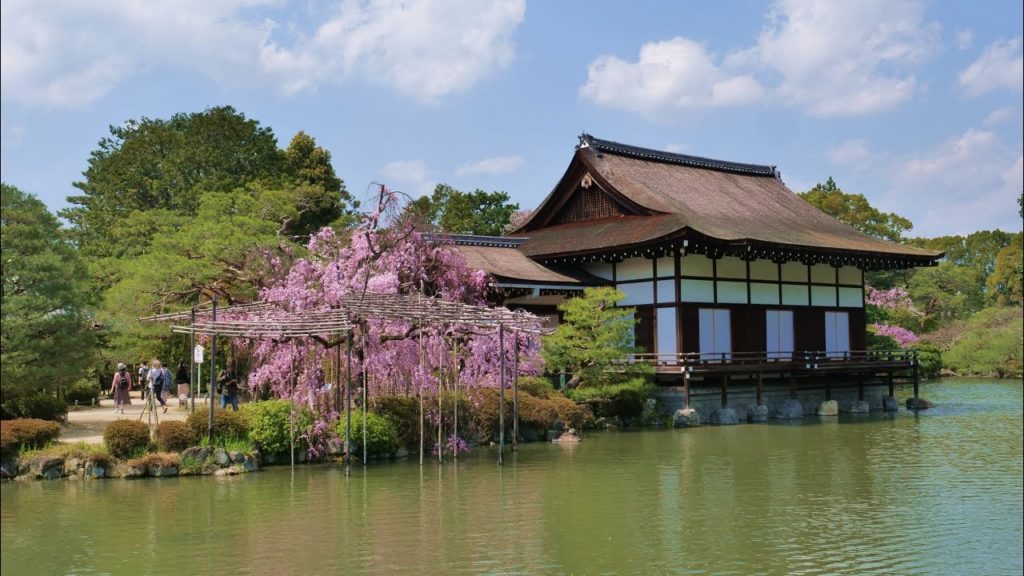 JG☆☆☆☆8K HDR Kyoto,Heianjingu Garden(Scenic Beauty) in Sakura Season 京都 平安神宮 神苑(名勝)の桜