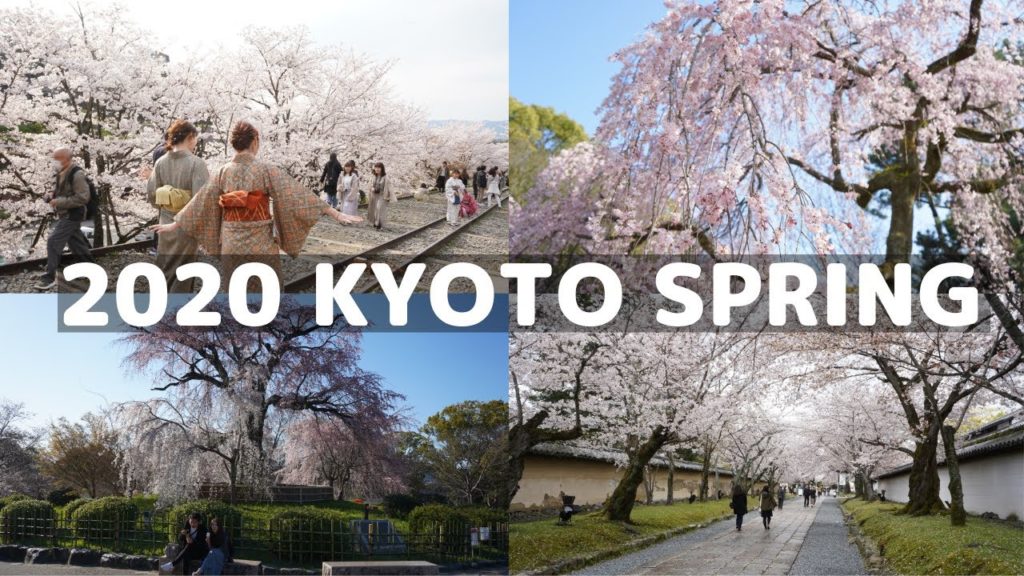 Que visiter à Kyoto au printemps  ? ~par un Japonais ~ (2020 Sakura Kyoto)
