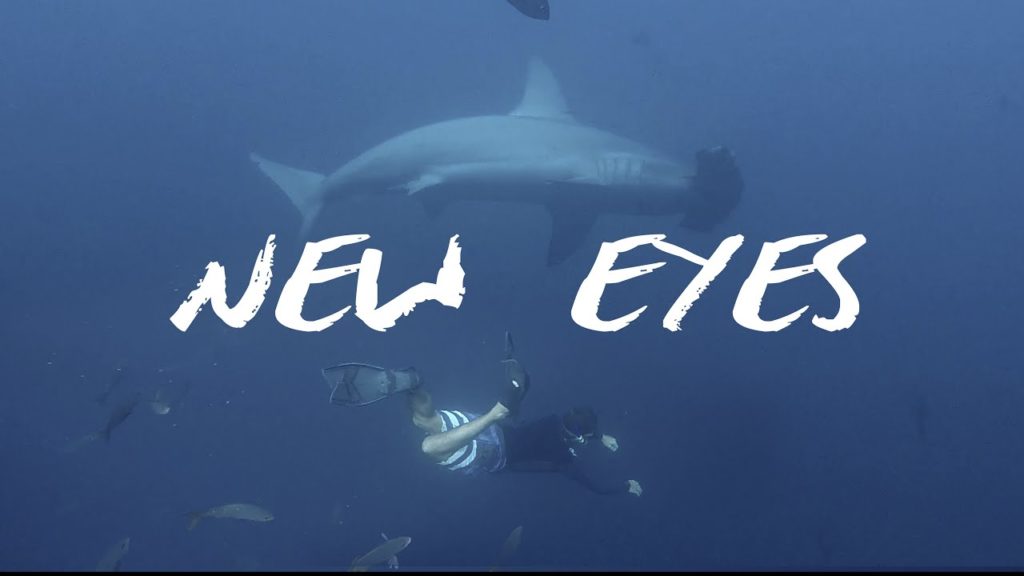 New Eyes | Cinematic Travel Video | Sony A7III | Mavic 2 Zoom |