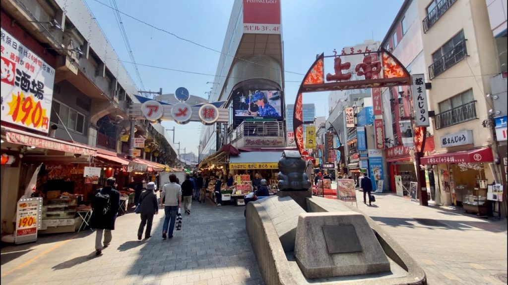 【4K】Walk on Ameyoko,Ueno(アメ横,上野) at Tokyo【2020】