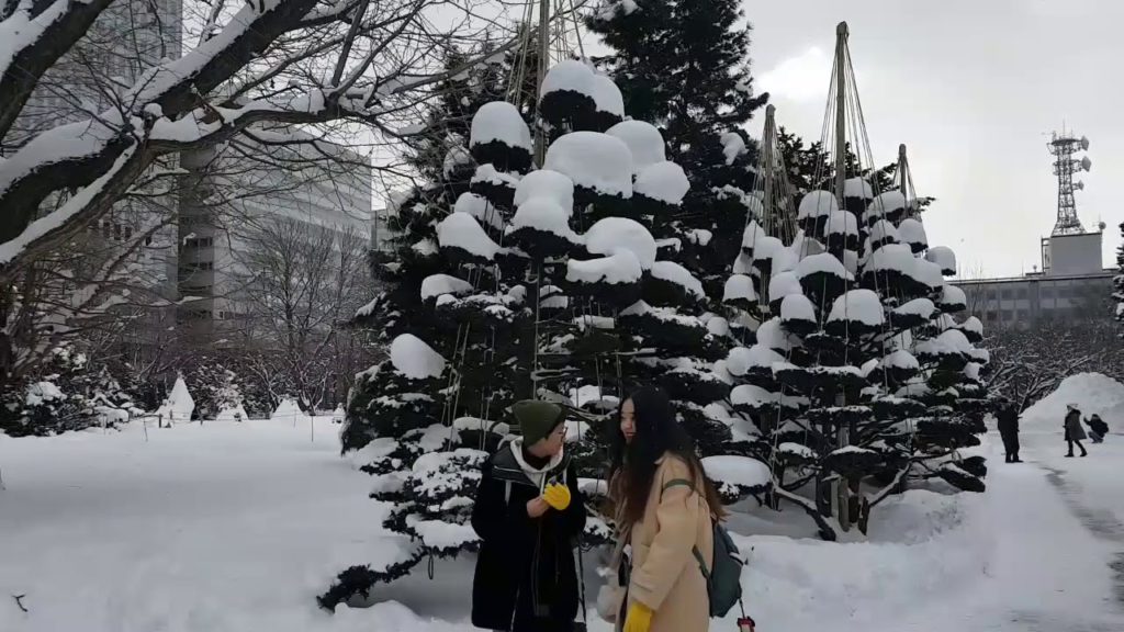 Sapporo, Japan | Traveler Ni