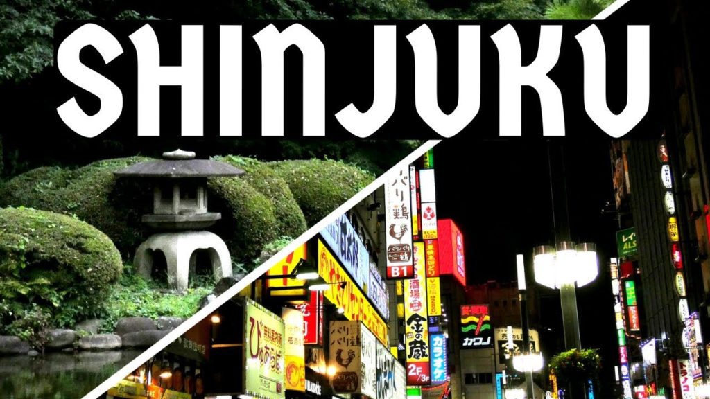 SHINJUKU (TOKYO, Japan 新宿) 👉 GOLDEN GAI, KABUKICHO, GYOEN National Garden | #1 Vlog JAPÓN