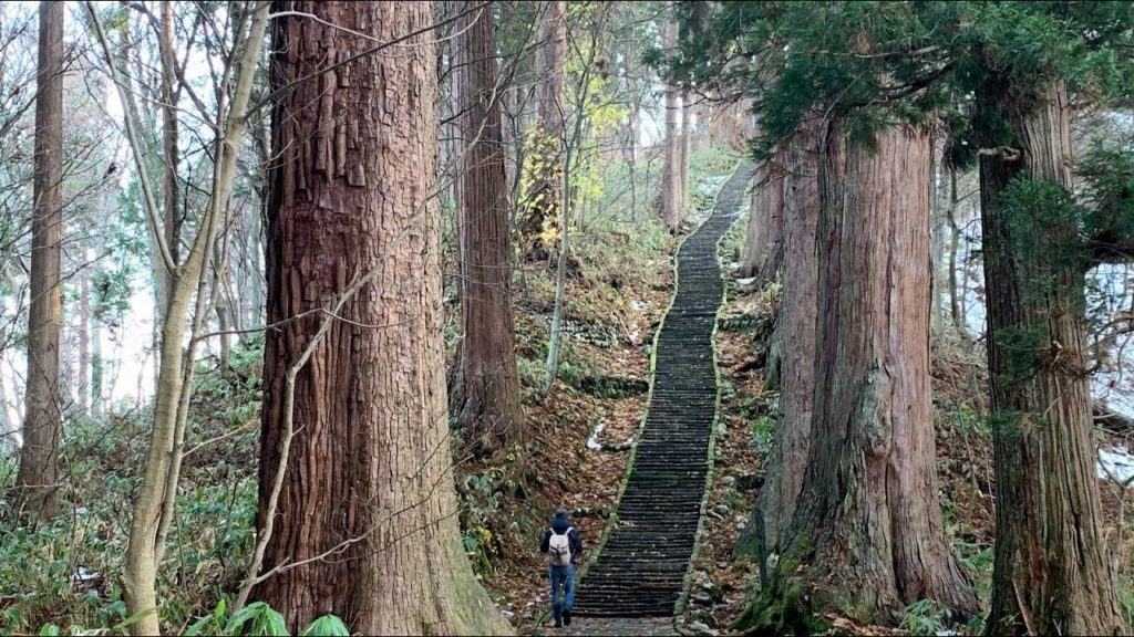 Holy Mountains, Water Gardens, a Shining Tunnel and the House of Lights | A Japan Travel Film