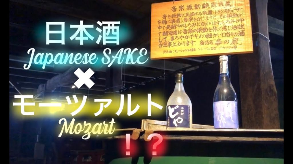 【Japanese culture】音楽で振動させるお酒！？｜Classical music and sake!?｜Sake brewery