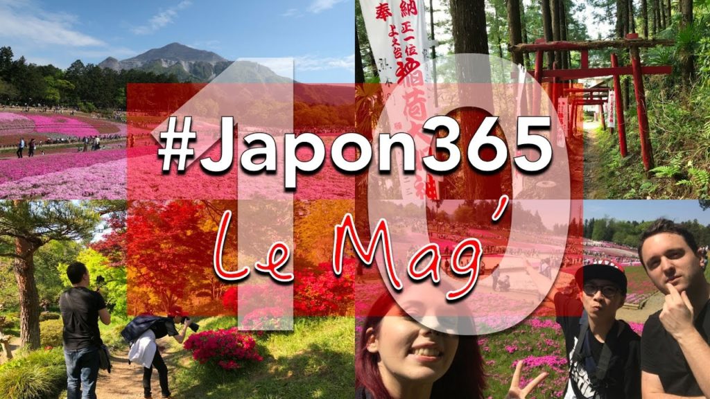 Midori no Hi à Chichibu : des fleurs à perte de vue !  | #Japon365 : Le Mag' - ép.10