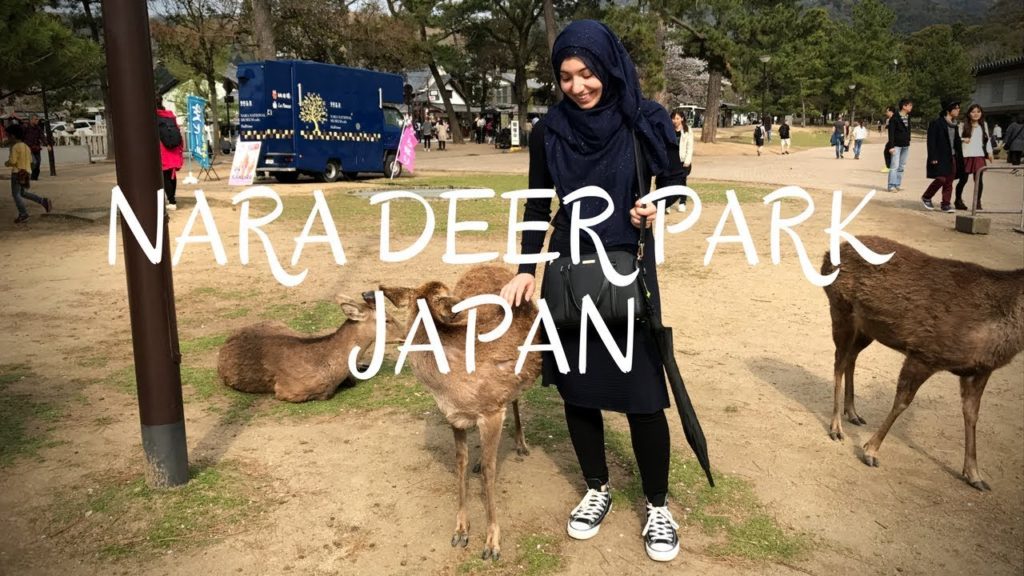 HALAL Japanese Street Food Tour in NARA JAPAN | Day 8: Nara Deer Park, Todaiji Temple & Mochi!