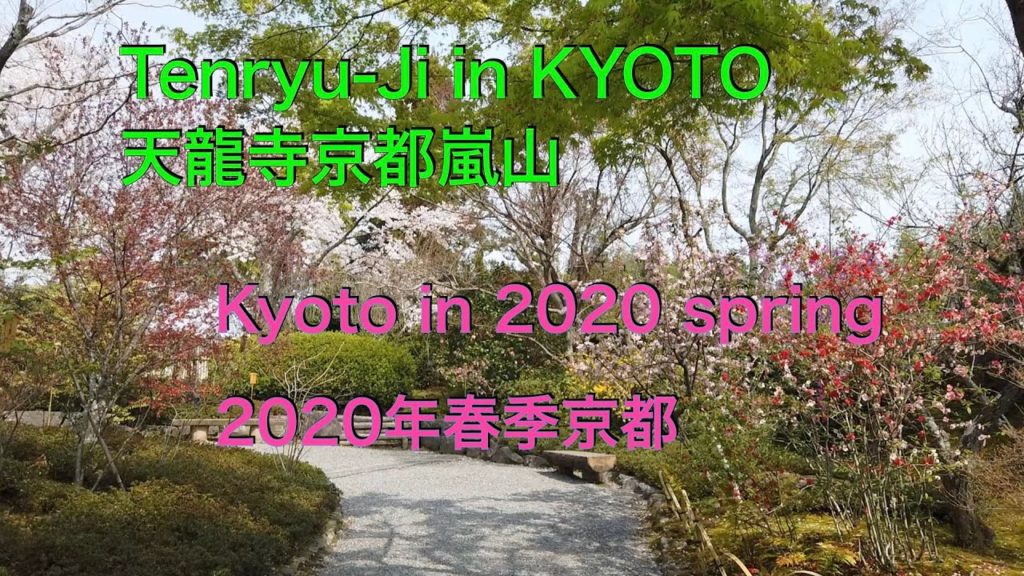 Spring Tenryuji Temple in Kyoto / 在京都的春天天龍寺