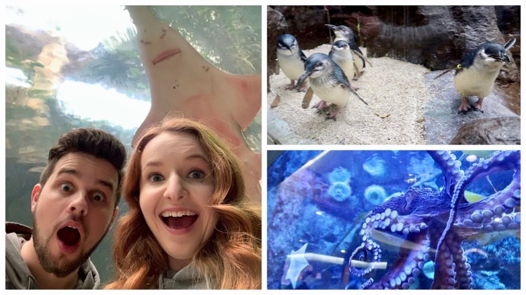 Dallas World Aquarium Vlog 2020 - Things to do in Texas - Travel Vlog