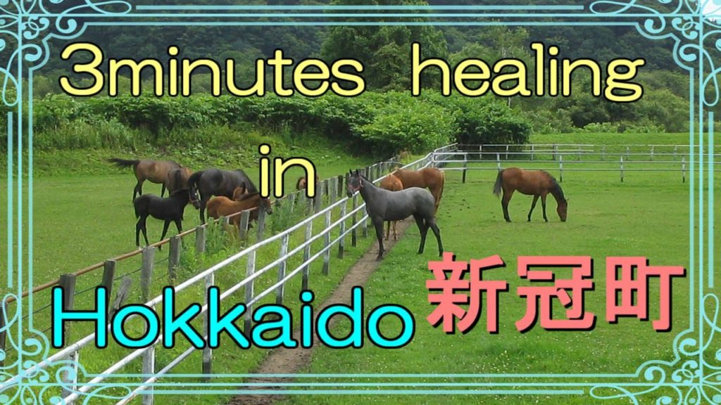 北海道　癒しの小空間（新冠町・サラブレッド銀座）3minutes  healing  in  Hokkaido