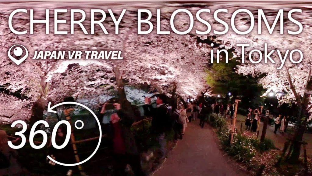 4K & 360°◆CHERRY BLOSSOMS in Tokyo [night edition] - JAPAN VR TRAVEL